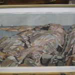 623 8633 WOOD ENGRAVING